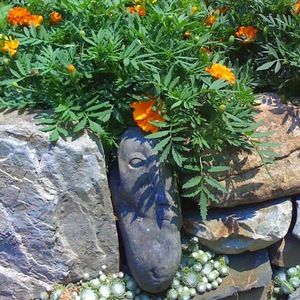 Meet your Posher, Frank